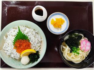 瀬戸のしらす丼（ミニうどん付き）